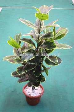 Direct factory price 100cm overall tall simulated green potted plant 3 poles oak EXSPZ12 2307