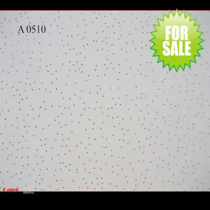 Armstrong Ceiling (SGS & CE Certificate- Pinhole)