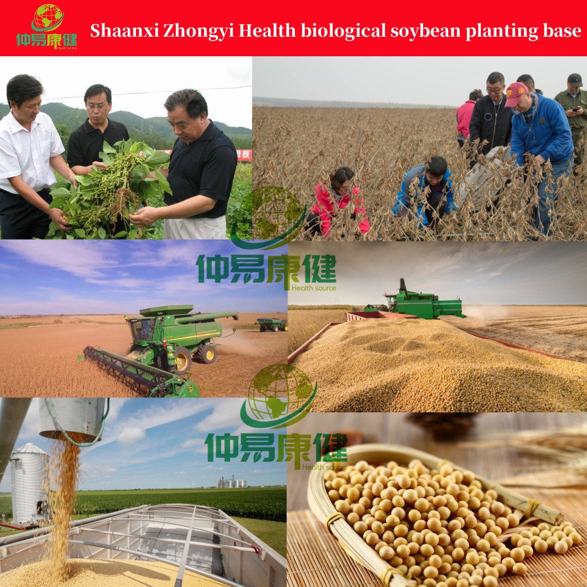 Shaanxi Zhongyi Health biological soybean planting base