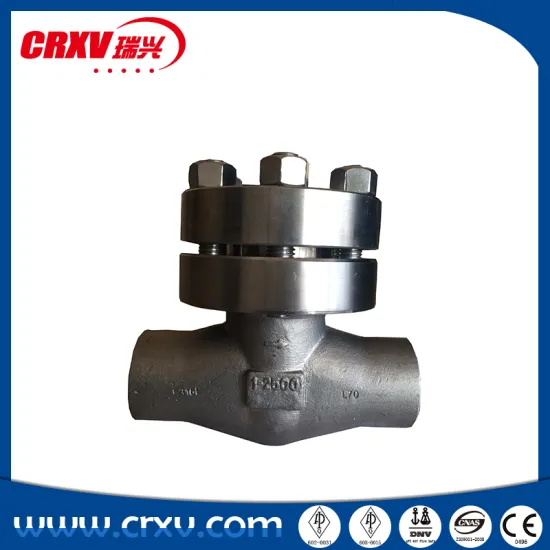 API602 2500LB PISTON CHECK VALVE