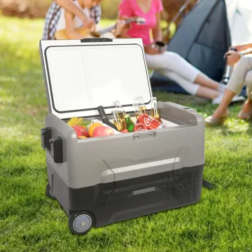 12V Car Refrigerator 42L Portable Office and Hotel Use Mini Fridge with Compressor