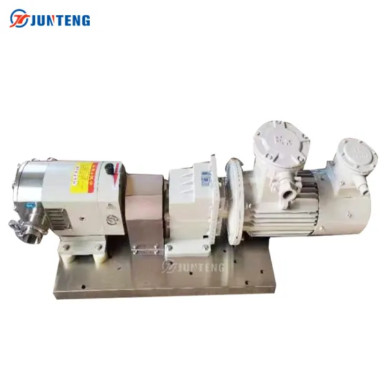 High-Quality SS316 Food Industry Ketchup Flange Universal Transfer Pump: Your Reliable Solution for Efficient Liquid Handling