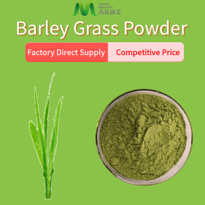 Buy Green Barley Grass Powder Good Price