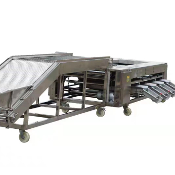 Factory Direct Sale Fruit &amp; Vegetable Storing Machine - Fruit Sorting Machine Snuding Machine