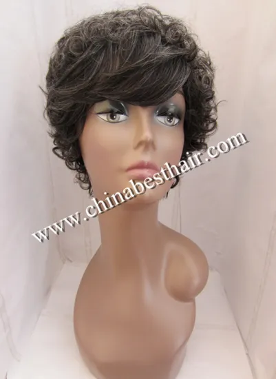 Popular Synthetic Wig for Old Women (2401A)