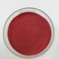 Pure Natural Lycopene Syrup Lycopene Tomato Powder