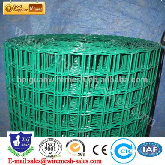 high quality Welded wire mesh/galvanized welded wire mesh and pvc coated welded wire mesh/iron wire mesh