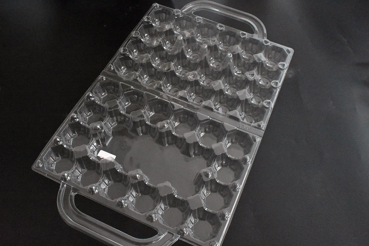 blister egg trays