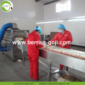 Factory Bulk Herbal Type Price Wolfberries