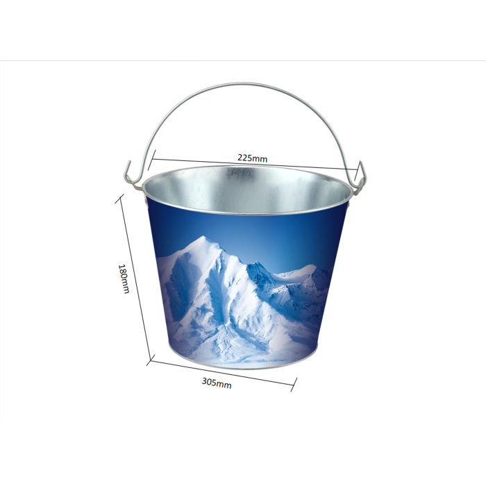 DADI 5L Galvanized Oval Ice Bucket with Handle