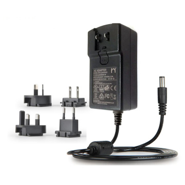 60W 12V 5A Adaptador intercambiável AC DC