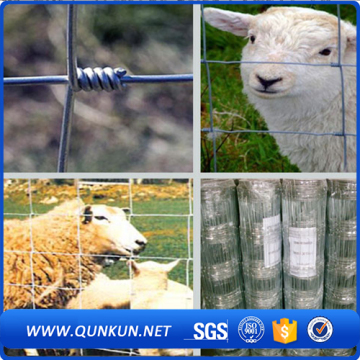 Garden cow cattle farm fencing for goats
