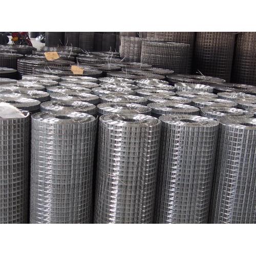 Galvanized Welded Wire Mesh Factory Directly Good Price Galvanized Welded Wire Mesh Factory