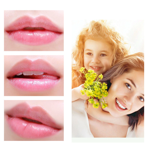 Lippenbalsam Bienenwachs &amp; Kamille