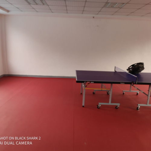 Vinyl Table Tennis floor mats with ITTF