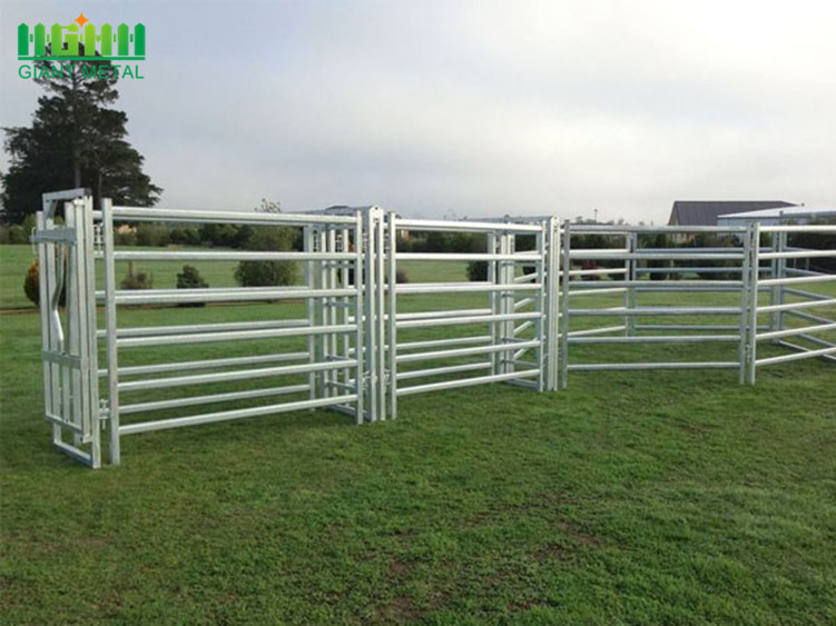 Factory Cheap Used Galvanized Cattle Fence Panels