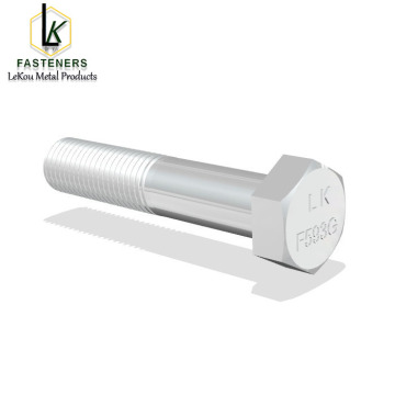 F593G Stainless Steel Hexagon head bolts