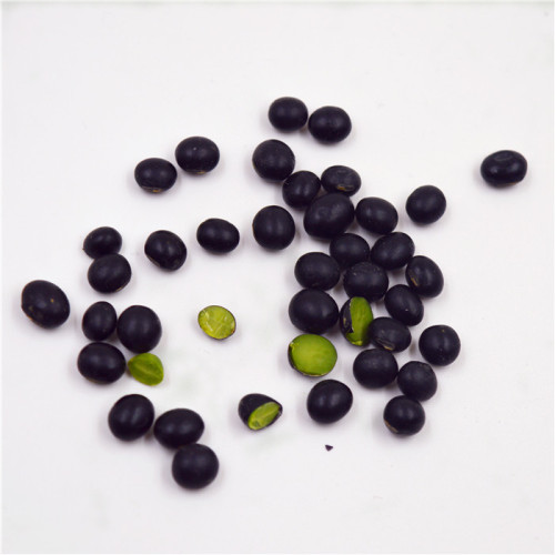 Heilongjiang Black Bean New crop