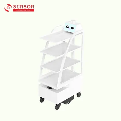 Food and Drug Delivery Robot