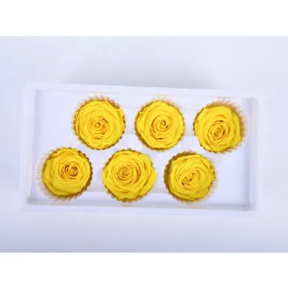 Wholesale Everlasting Rose Heads - Affordable Preserved Flowers