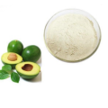 Phytosterols Dried Avocado Fruit Extract Powder