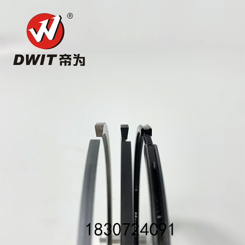 High Quality Piston Ring 1830724C91 - 116.5mm for Perkins Diesel Engines