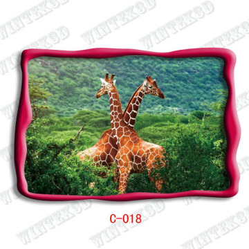 3d Animal Picture Postcard 