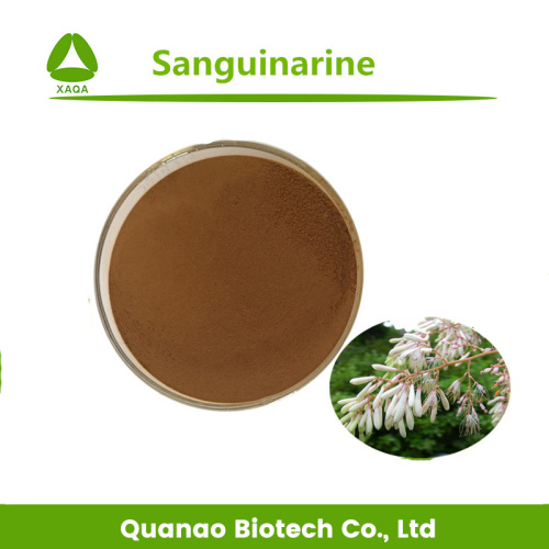 Sanguinarine Powder 60% Macleaya Cordata Extract Powder Sanguinarine 60% Supplier