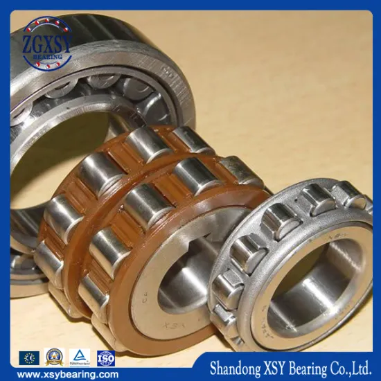 Cylindrical Roller Bearing Stainless Steel Nu Nj Nup N NF Series
