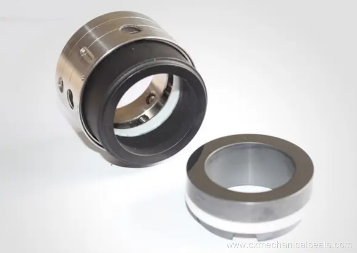 PTFE Wedge Mechanical Seal for Chemical Applications