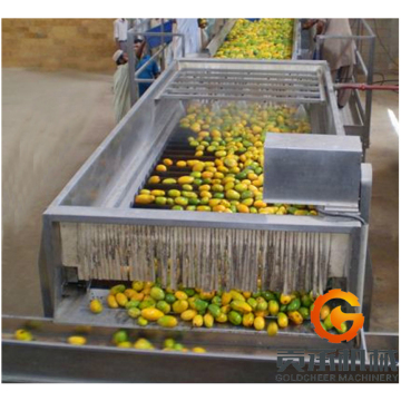 Mango Processing Machine: Small Fruit Jam Production Line
