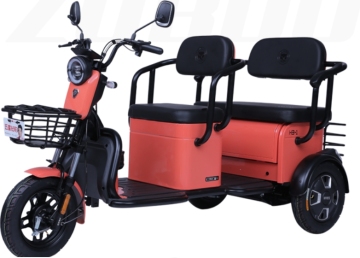 H3-1 (Leisure Electric Tricycle)