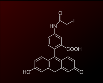Fitc Fluorescein Isothiocyanate