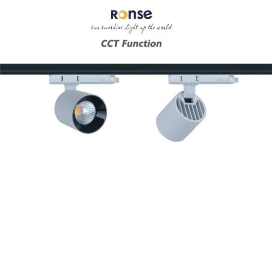RONSE Ceiling Project: 2 Wire Showroom Track Lights - 10W & 20W LED Track Lighting