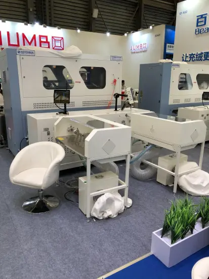 Auto 2 Head Down Filling Machine