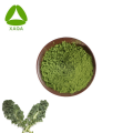 Natural Organic Freeze Dried Green Kale Extract Powder