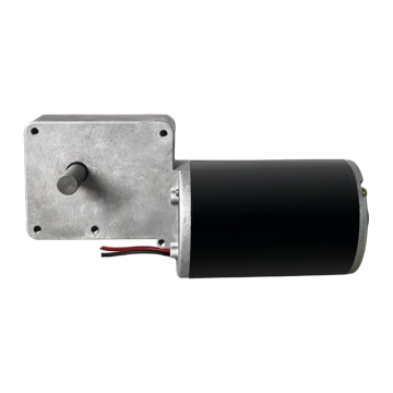 Maintex 12V DC Electric Worm Gear Motor