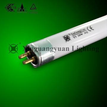 t5 aquarium light
