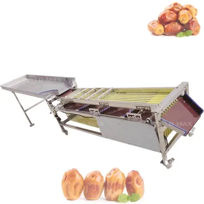 Progressive Dates Palm Walnut Cleaner Grader Machine