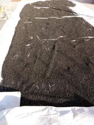 Wild goji bery/ wild wolfberry /Qinghai Black goji