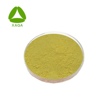 Biflavonoid Selaginella Extract Amentoflavone 20% Powder