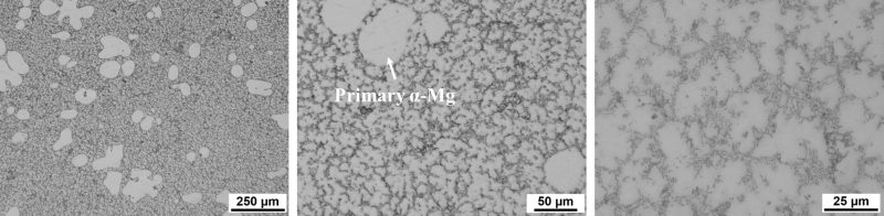 Semi-solid magnesium alloy electric drive housing structure