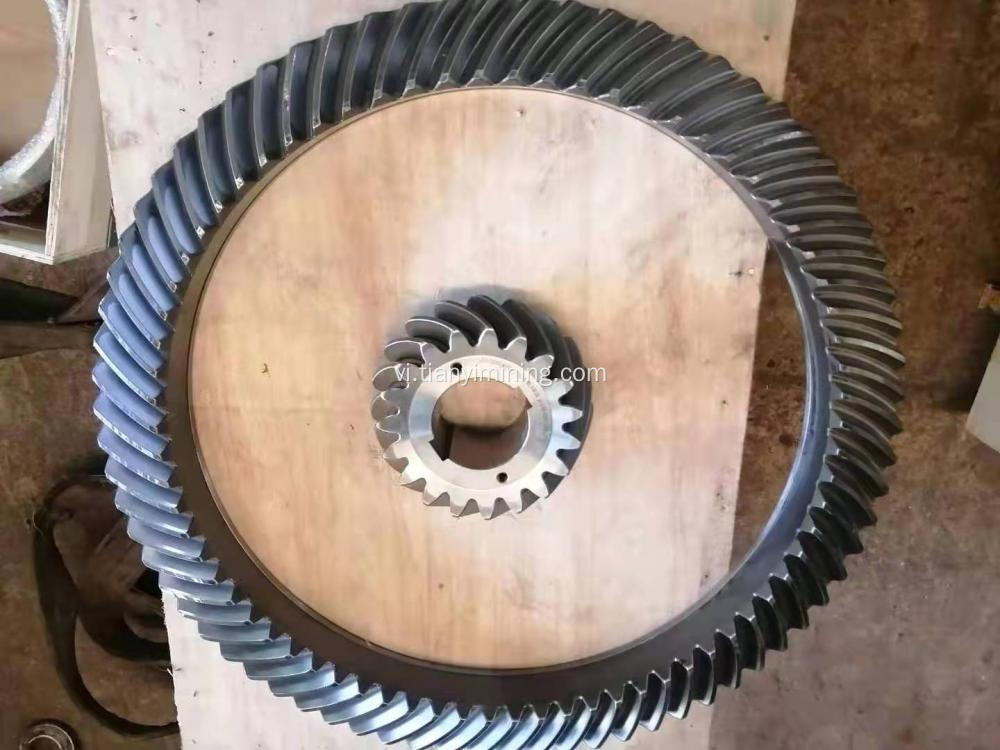 Rock Cone Craser Part Part Pinion Gear Set