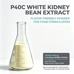 P40C White Kidney Bean Extract|20000 AAIU/g |TBHBio