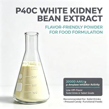 P40C Extracto de frijol blanco 20000 AAIU/g