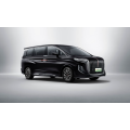 Hongqi HQ9 best new minivan