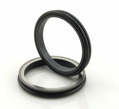 Travel motor floating seal