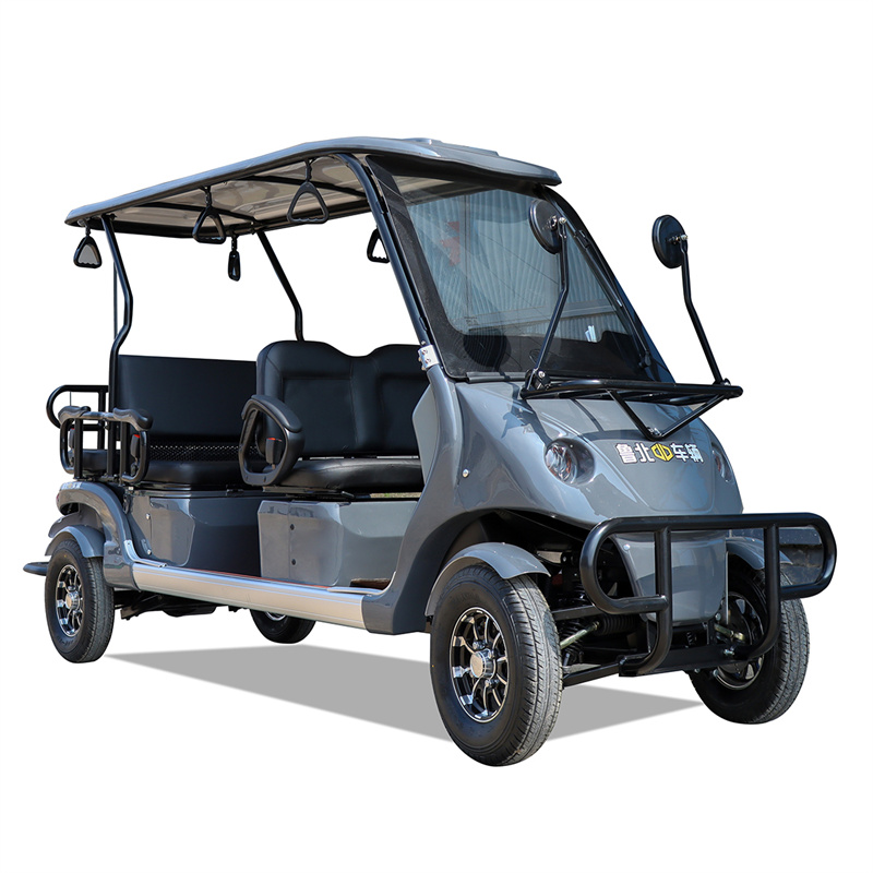 6 seater electric car