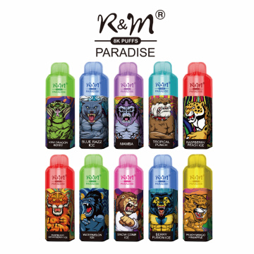 Лучший R &amp; M Paradise 8000 Puffs Ondessable Vape Kit