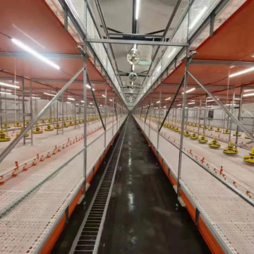 High Quality Chicken Shed Plastic Slat Floor for Poultry Coops